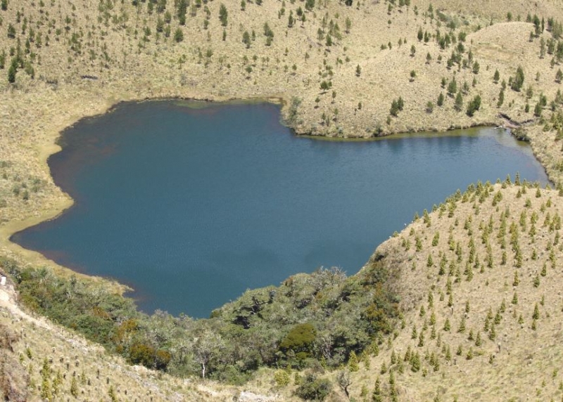 Laguna de Razococha